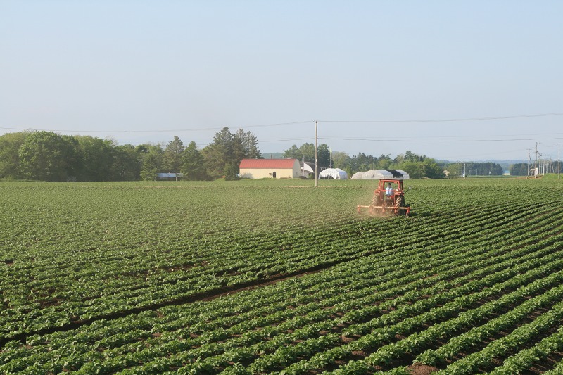 ファイル 230-2.jpg