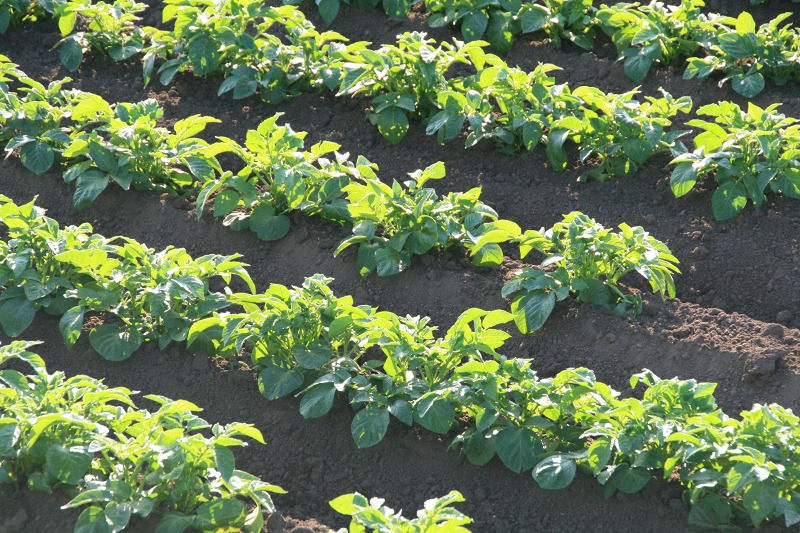 ファイル 230-3.jpg