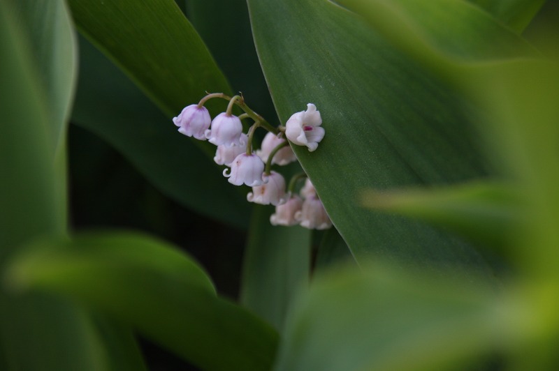 ファイル 234-2.jpg