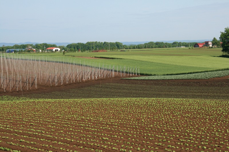 ファイル 236-2.jpg