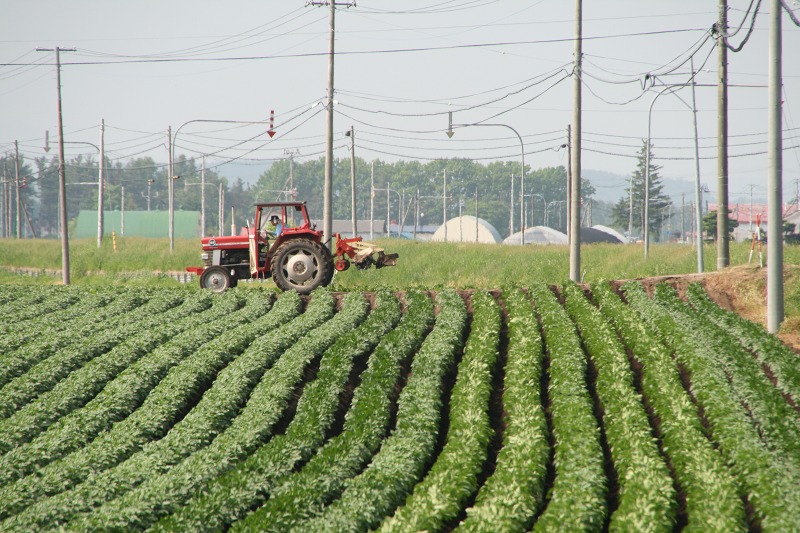 ファイル 238-3.jpg