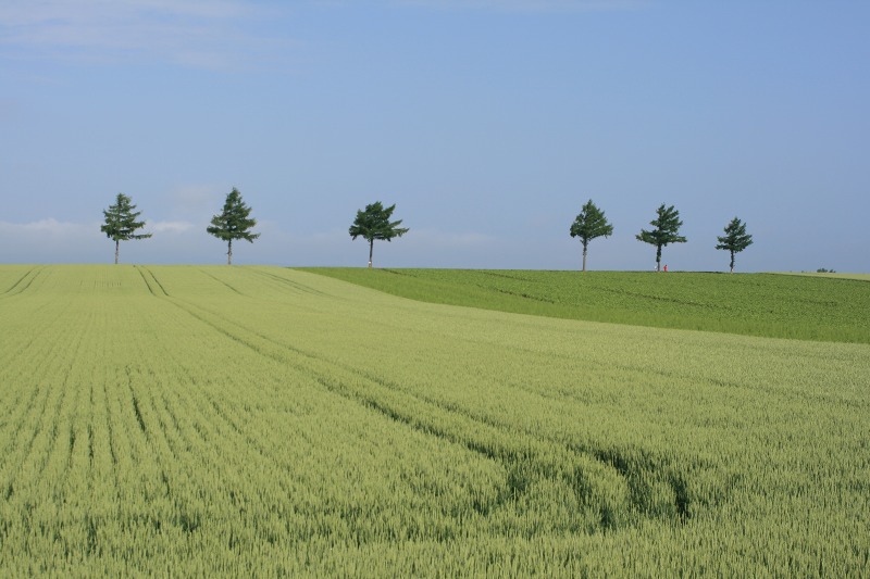 ファイル 239-3.jpg