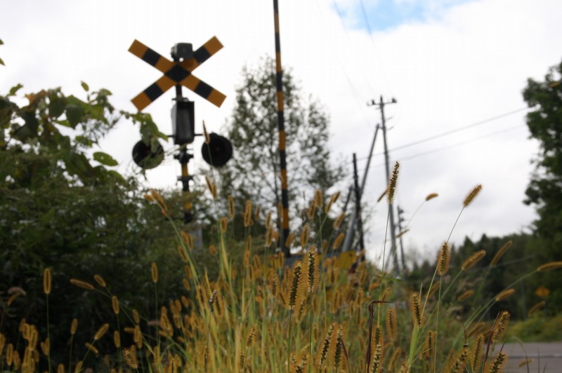 ファイル 24-1.jpg