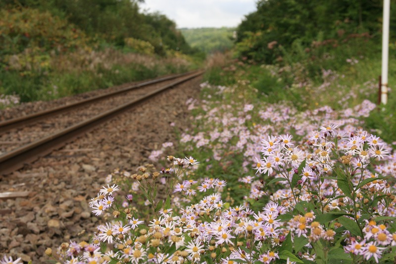 ファイル 24-2.jpg