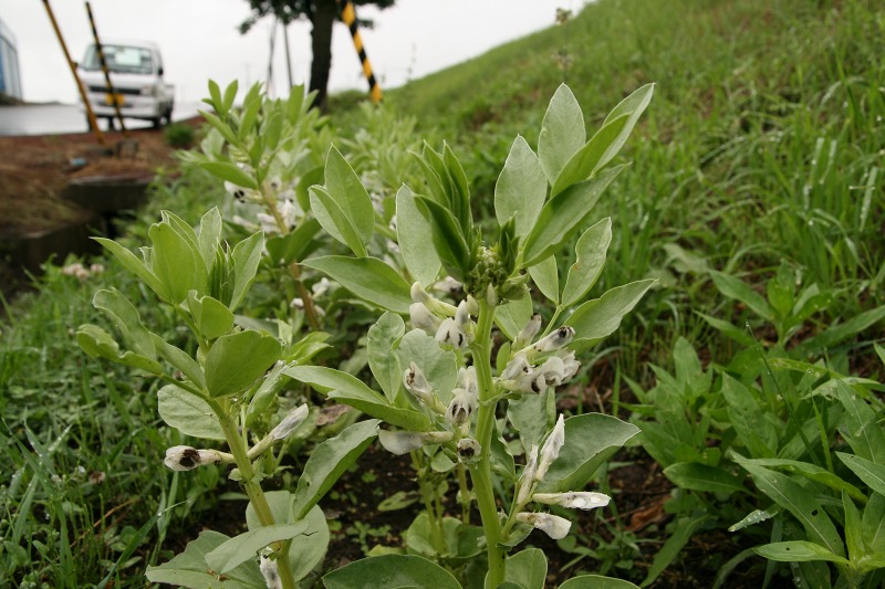 ファイル 240-1.jpg