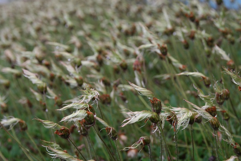 ファイル 240-3.jpg