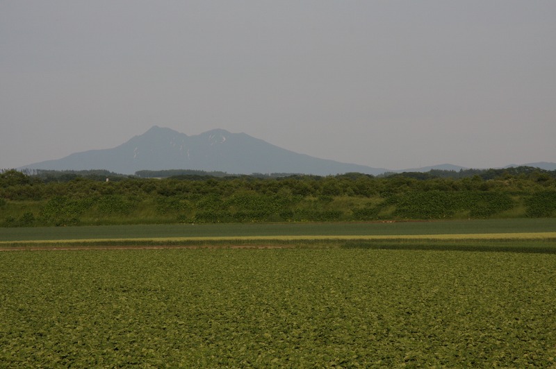 ファイル 241-2.jpg