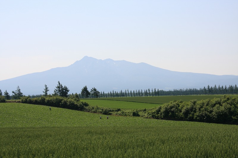 ファイル 243-1.jpg