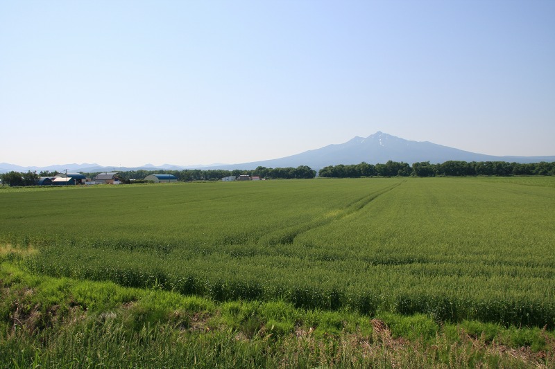 ファイル 243-3.jpg