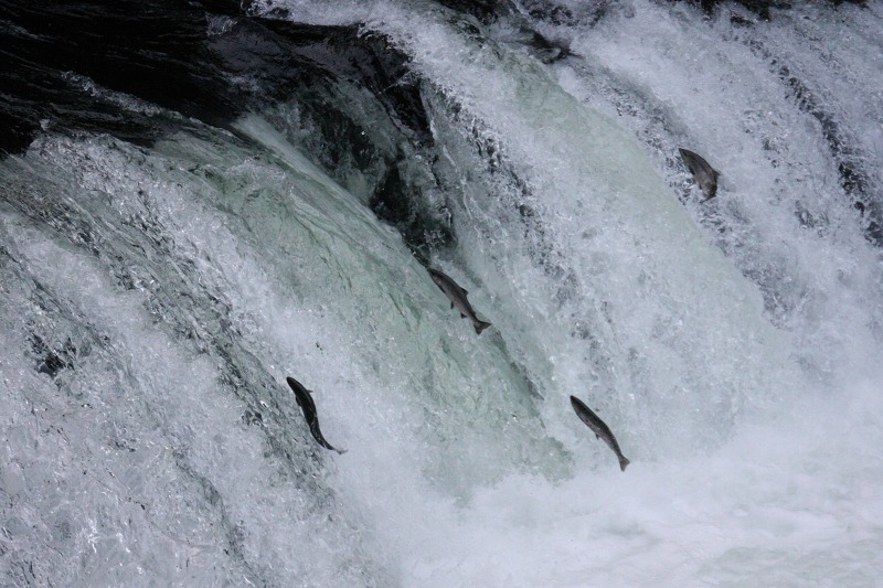 ファイル 244-1.jpg