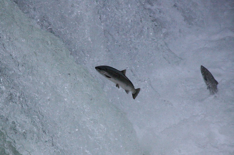 ファイル 244-3.jpg