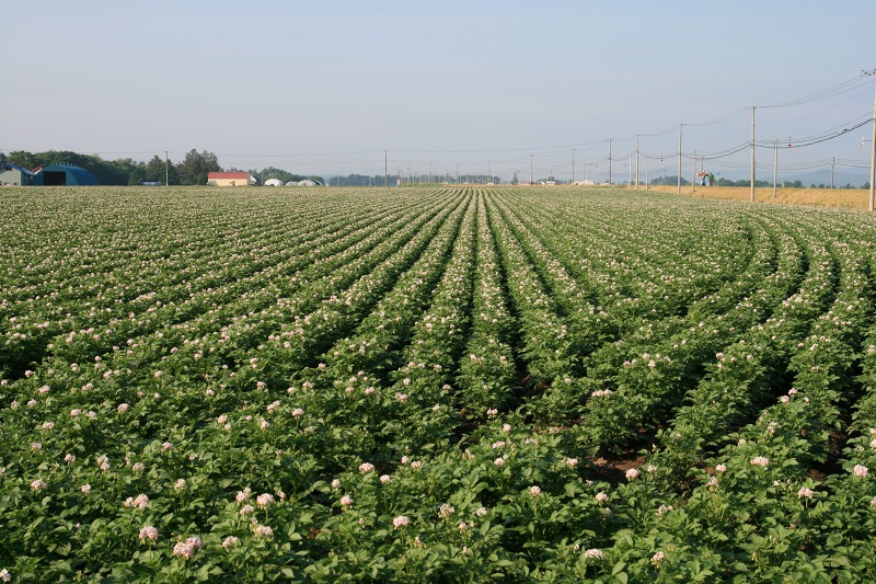 ファイル 246-4.jpg