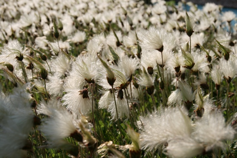 ファイル 247-1.jpg