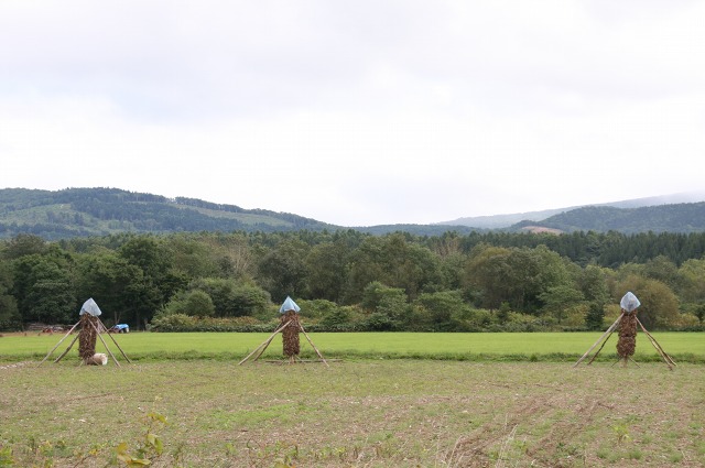 ファイル 25-3.jpg