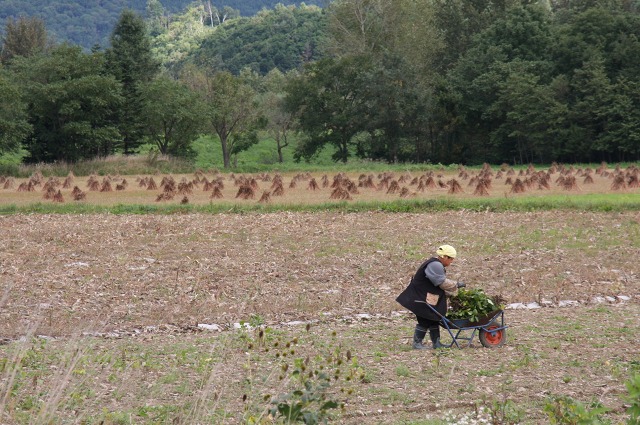 ファイル 25-4.jpg