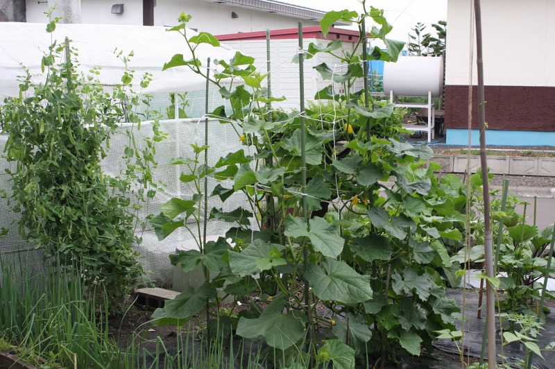 ファイル 254-4.jpg