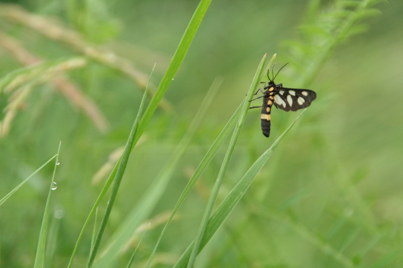 ファイル 255-2.jpg