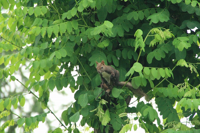 ファイル 256-3.jpg