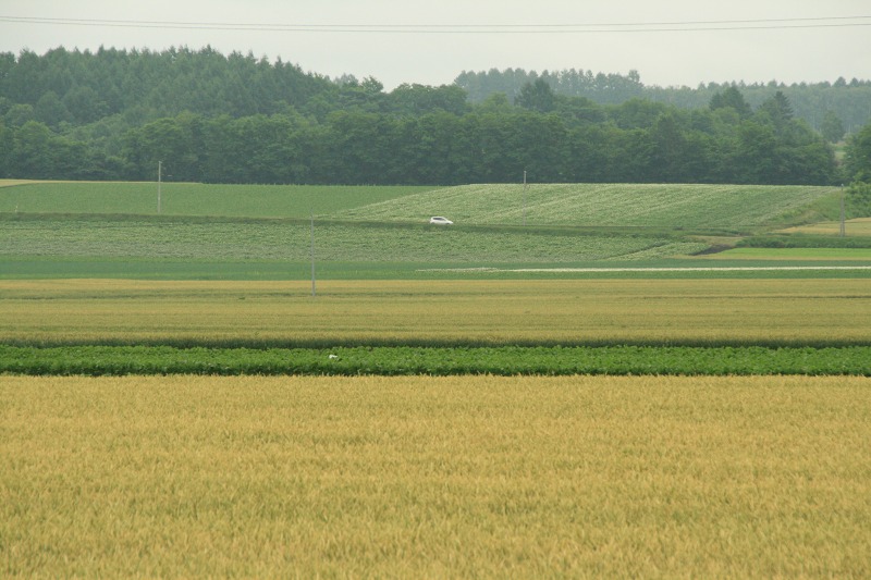 ファイル 256-4.jpg