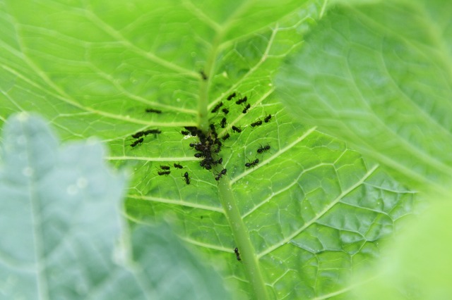 ファイル 256-5.jpg