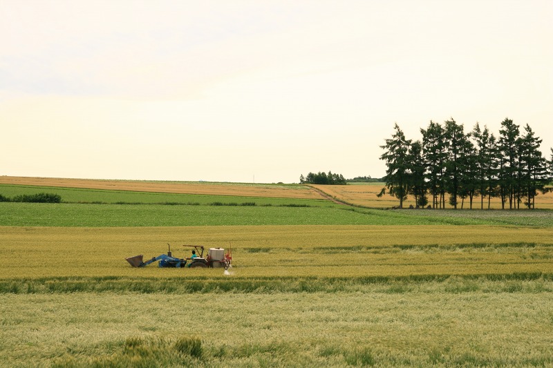 ファイル 257-1.jpg