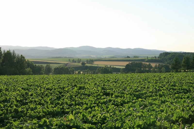 ファイル 257-2.jpg