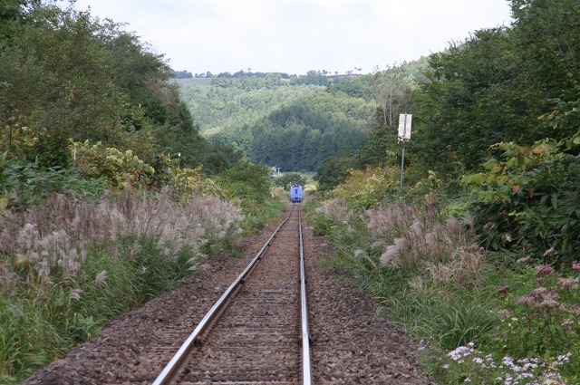 ファイル 26-2.jpg