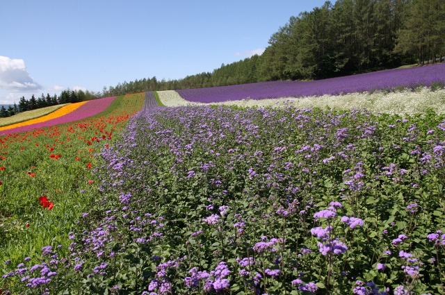 ファイル 260-2.jpg