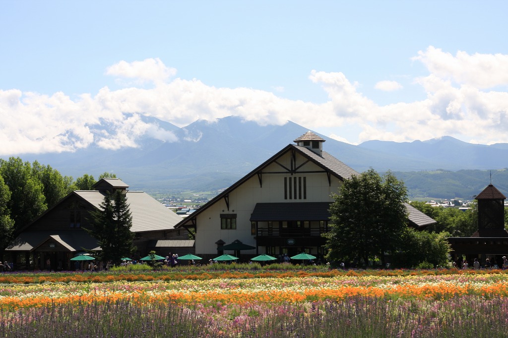 ファイル 261-1.jpg