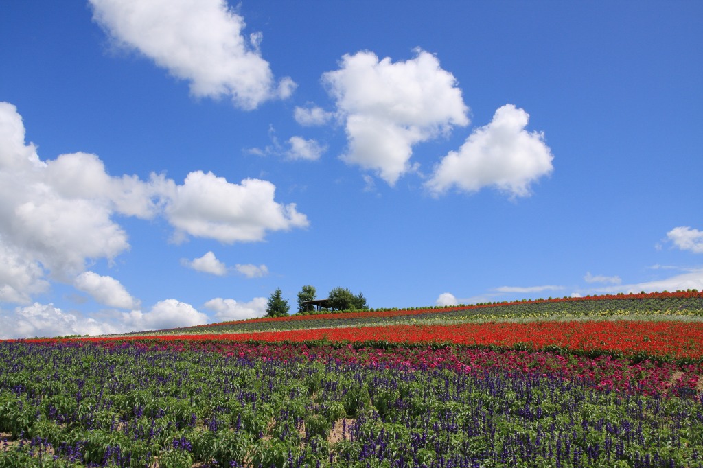 ファイル 262-2.jpg