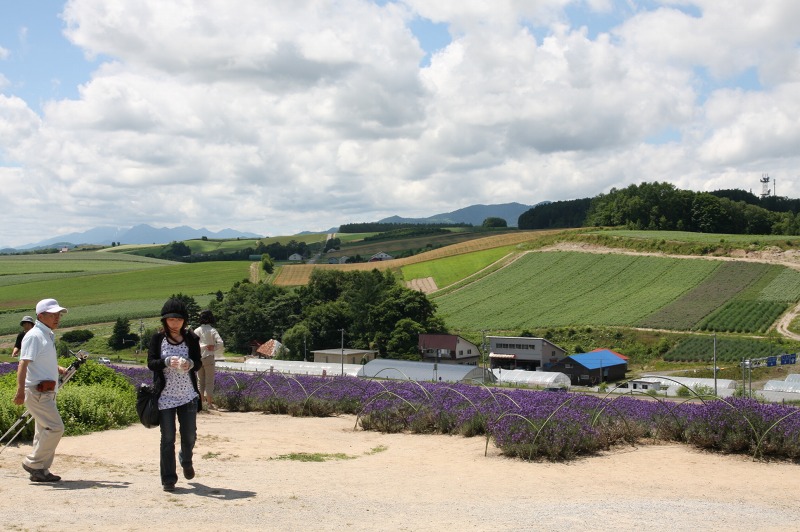 ファイル 262-4.jpg