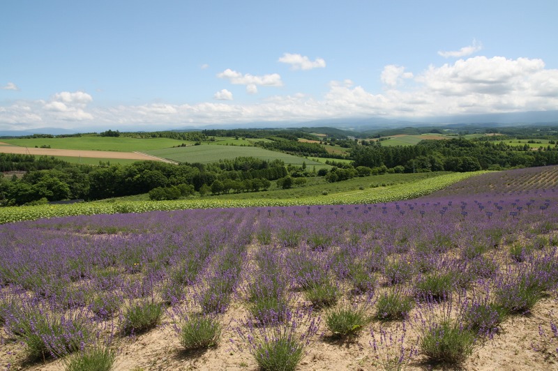 ファイル 263-3.jpg