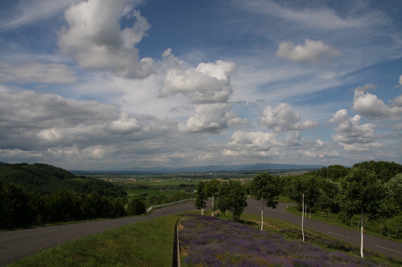 ファイル 264-3.jpg