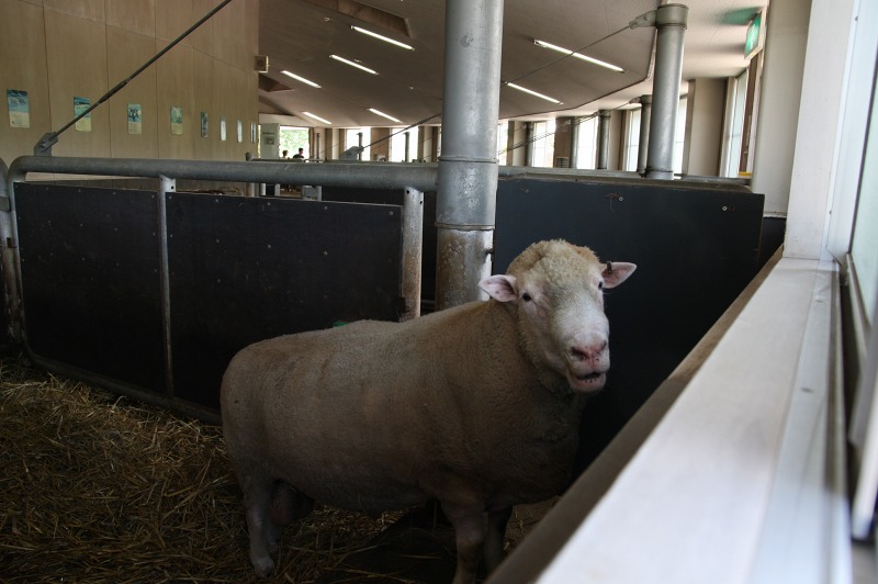 ファイル 265-1.jpg