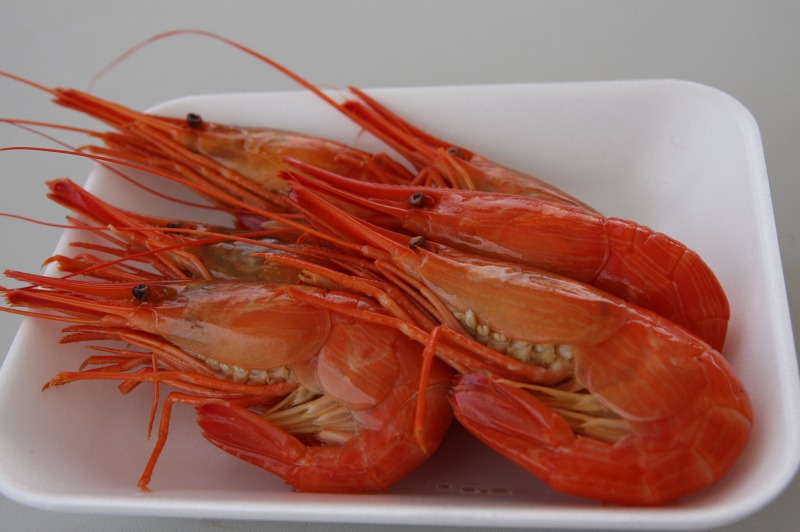 ファイル 266-1.jpg