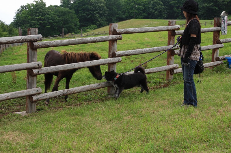 ファイル 266-2.jpg