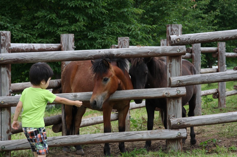 ファイル 266-3.jpg