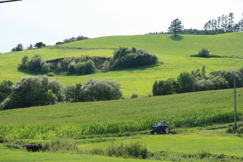 ファイル 274-3.jpg