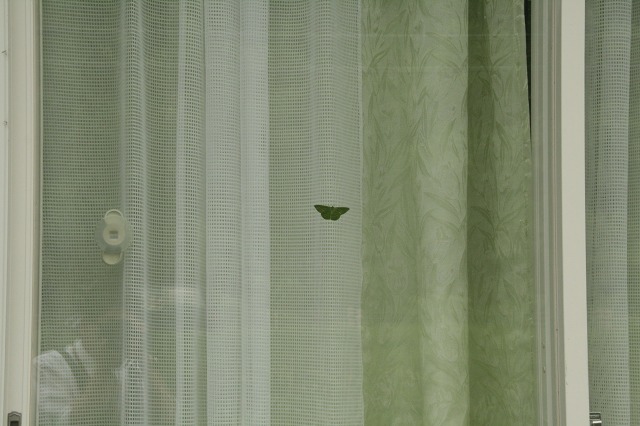 ファイル 277-3.jpg