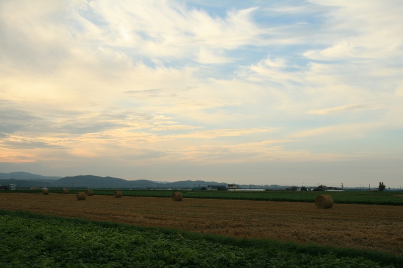 ファイル 278-1.jpg