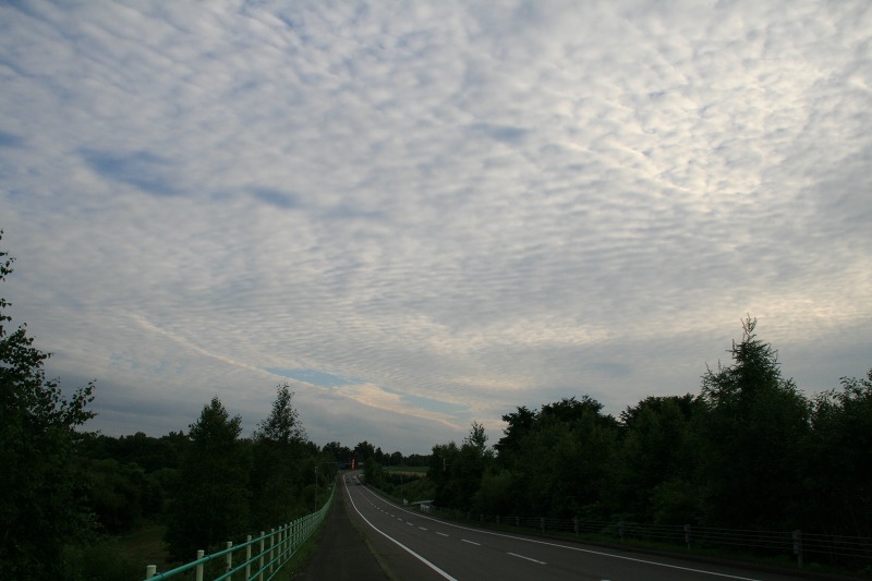 ファイル 278-2.jpg