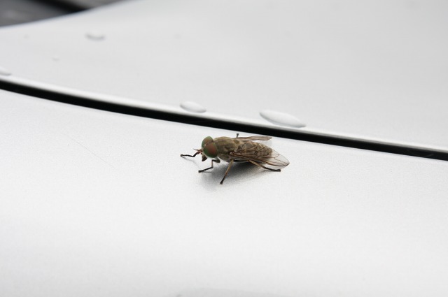 ファイル 278-3.jpg