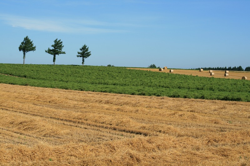 ファイル 279-3.jpg