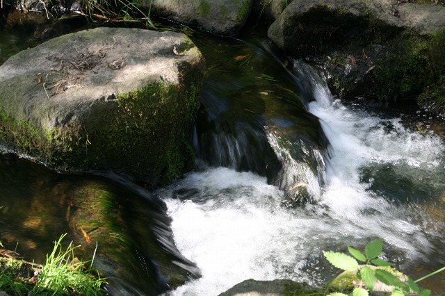 ファイル 28-4.jpg