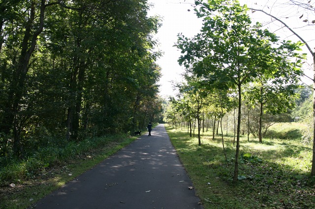 ファイル 28-5.jpg