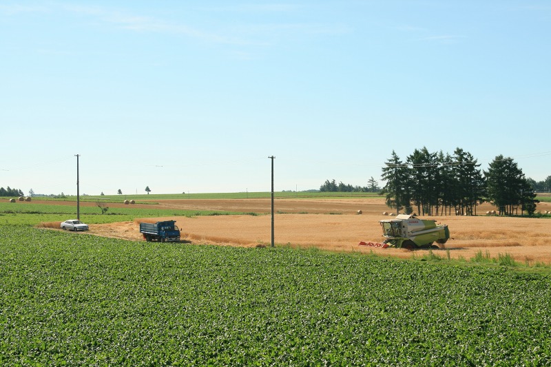 ファイル 280-3.jpg