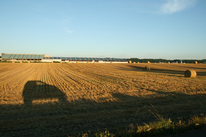 ファイル 280-4.jpg