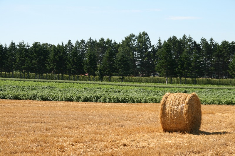 ファイル 281-2.jpg