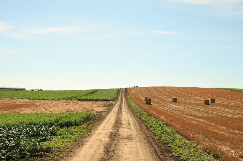 ファイル 281-3.jpg