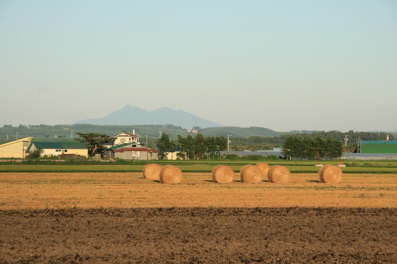 ファイル 281-4.jpg